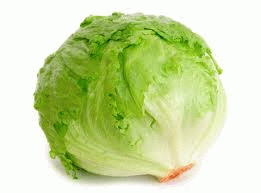 Lettuce_Iceberg
