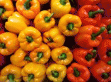 capsicums