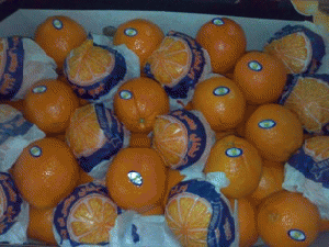 Navel oranges