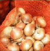 onions ( Golden )