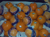 Navel oranges