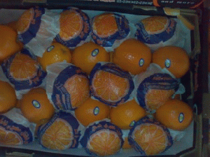 Navel oranges